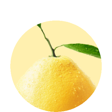 [餐饮一区]-瑞幸单品-琯溪蜜柚拿铁